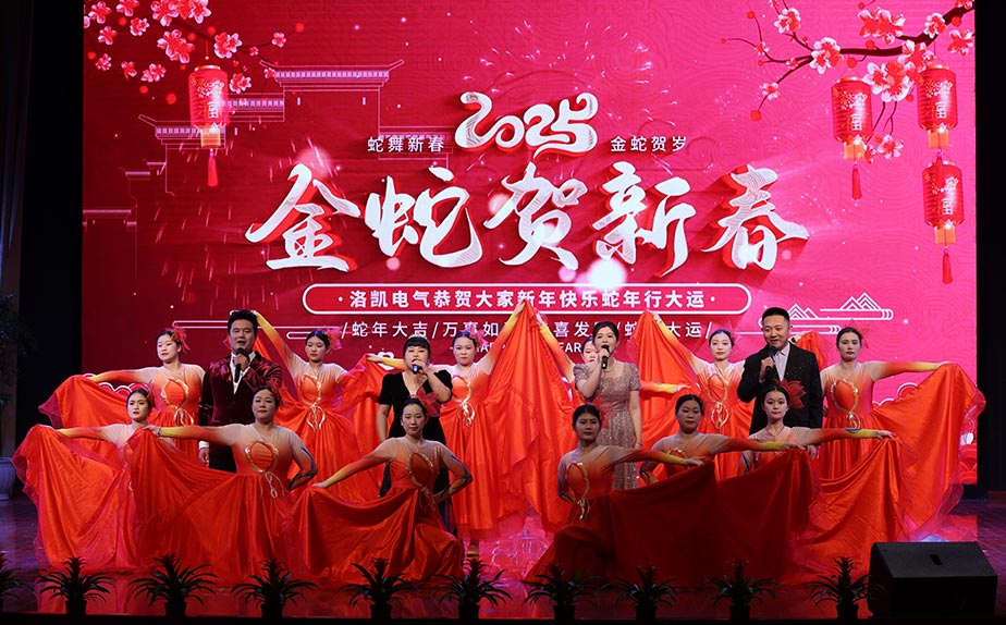 洛凯股份2025年新春晚会